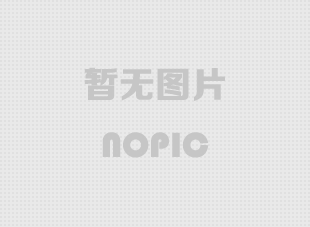 豐縣螺栓球節點鋼網架安裝施工關鍵技術